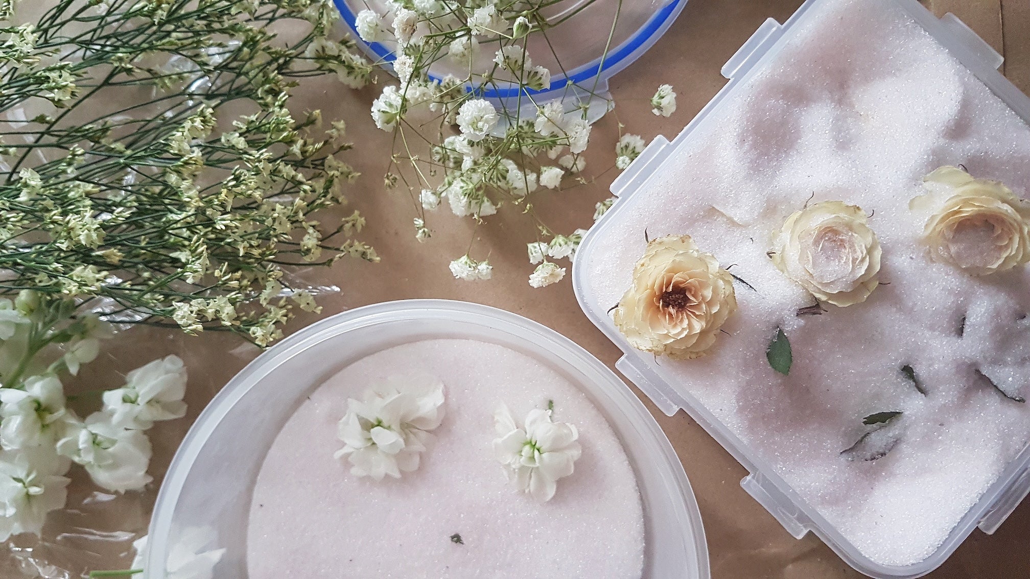 Środek osuszający - Suszenie kwiatów